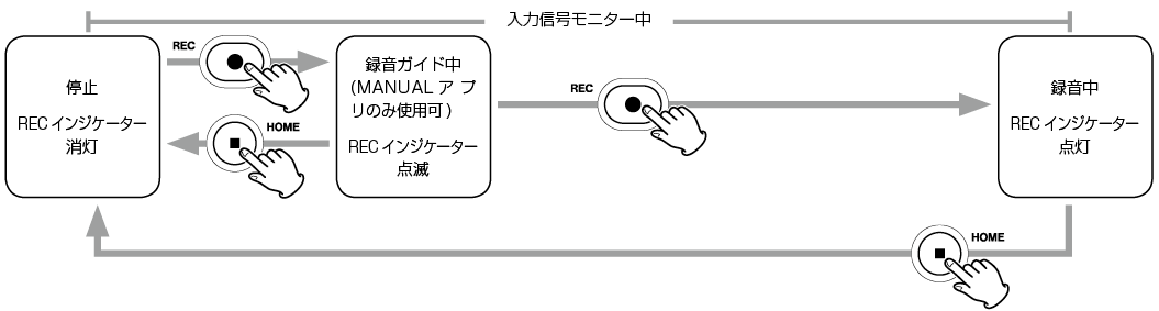 24460.png