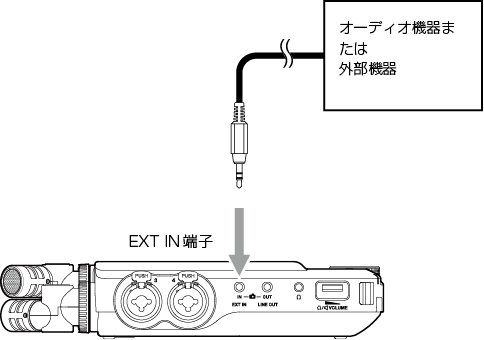 25005.png
