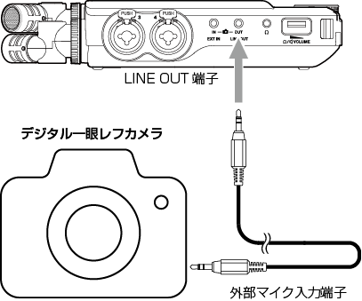 25051.png