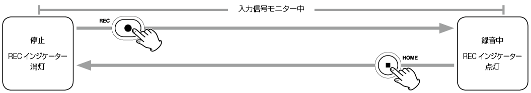 24588.png
